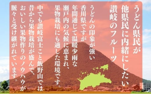 【全3回】 フルーツ定期便 温州みかん いちご せとか デコポン 小原紅早生 さぬき姫いちご みかん 蜜柑 オレンジ 苺 イチゴ 不知火 柑橘 高級 果物 フルーツ 定期便 デザート 果実 青果 甘い