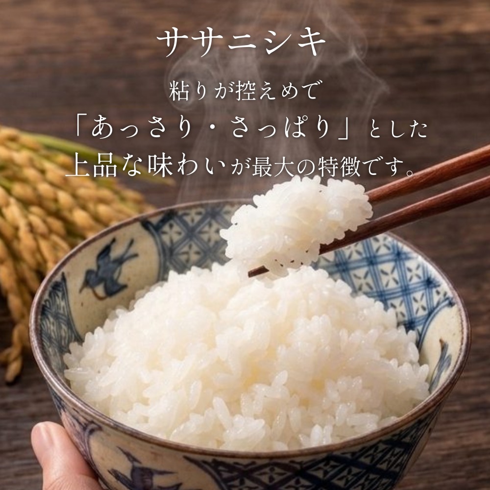 【 令和8年産 】 新米 ササニシキ 20kg＜ 毎月 20kg 3回 お届け 