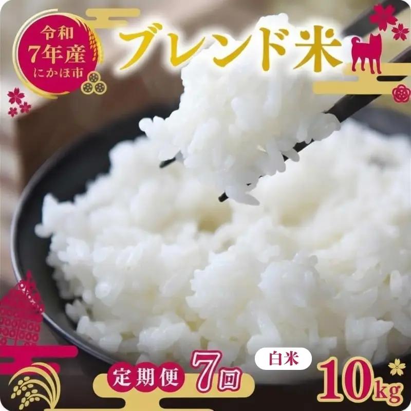 【定期便7か月】白米 ブレンド米 10kg  令和7年度産 白米