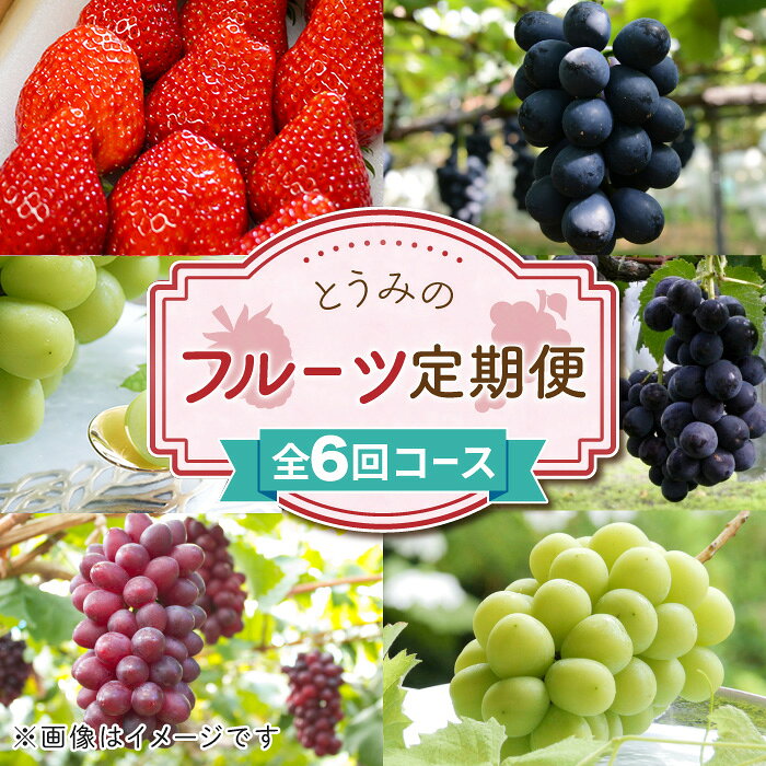 【ふるさと納税】【数量限定・6回定期便】とうみのフルーツ頒布会（とちおとめ、クイーンルージュ(R)、ナガノパープル、種なし巨峰、シャインマスカット）