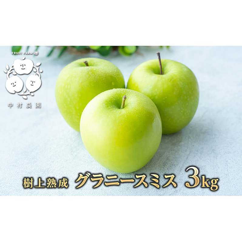 2026年産 樹上熟成　グラニースミス 3kg 