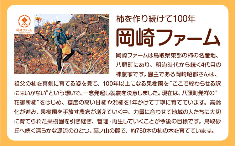 【先行予約】 ご家庭用 輝太郎柿 約3kg 岡崎ファーム《10月上旬-10月末頃出荷》鳥取県 八頭町 柿 かき カキ 輝太郎 果物 フルーツ