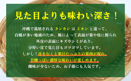 たんかん【2027年発送】大宜味村 たんかん 約5kg 沖縄