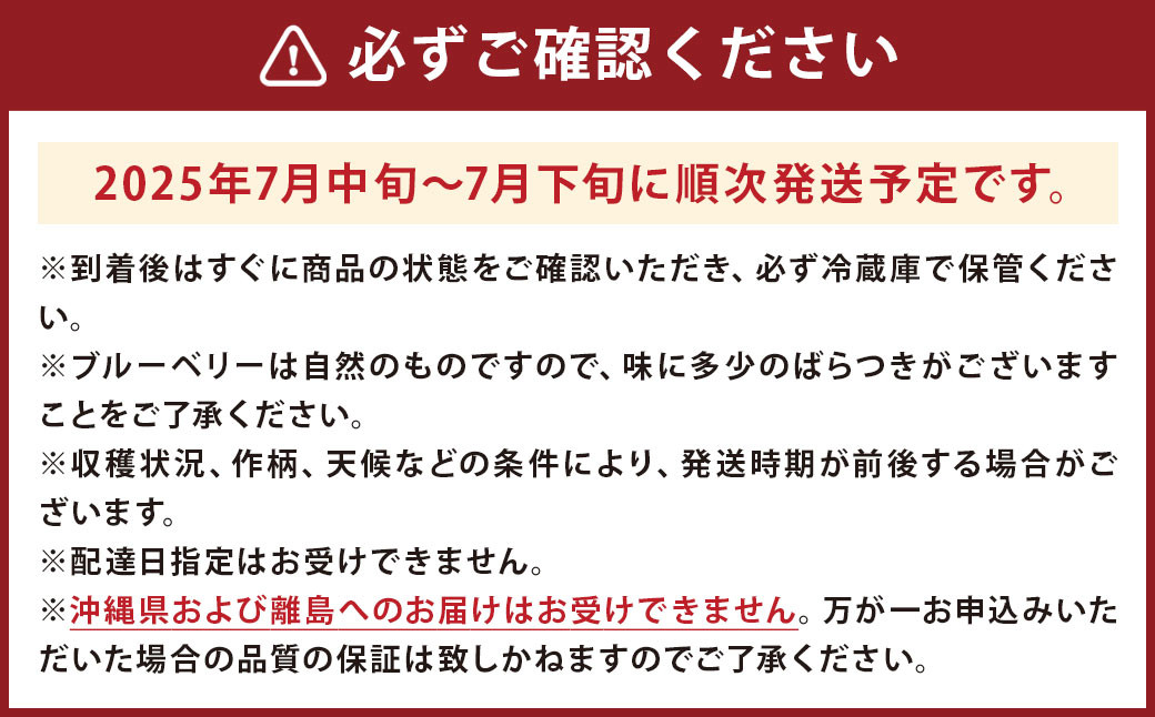 二戸産 プレミアム ブルーベリー【カシオペアブルー】30粒 フルーツ 果実