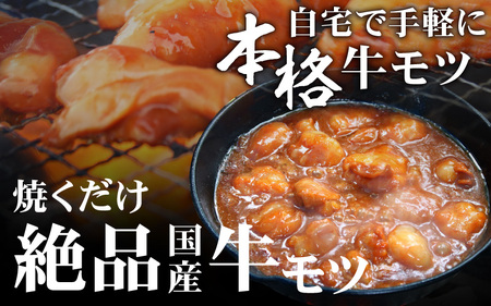 【小分け】 【秘伝のタレ付】 牛 もつ セット 10 人前｜小分け 6袋 計1.5kg 国産 味噌 もつ鍋 焼肉 時短 簡単 小腸 国産牛 パーティー 冬 ホルモン おつまみ 真空 冷凍 大ぶり 簡単