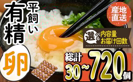 
            ＜内容量とお届け回数が選べる＞産直・平飼い有精卵 (総計30-720個・1回・3回・6回・12回) 卵 玉子 卵かけご飯 玉子焼き 平飼い 鶏 鶏卵 養鶏場直送 朝採れ 新鮮 大分県 佐伯市 定期便【HM01】【佐伯養鶏場】
          