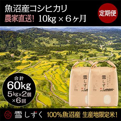 ふるさと納税 十日町市 【毎月定期便】農家直送!魚沼産コシヒカリ【合計60kg】毎月10kg全6回