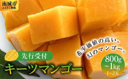 (先行受付)キーツマンゴー 南城市 約800g～1kg（1～2玉）   