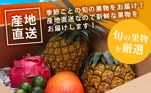 《2027年夏に順次発送予定》石垣島の夏「果物」詰め合わせ～夏のタカラモノ果物便～【 産地直送 沖縄 石垣 石垣島 くだもの トロピカルフルーツ 果物 南国 フルーツ 詰め合わせ フルーツ便 】SH-005