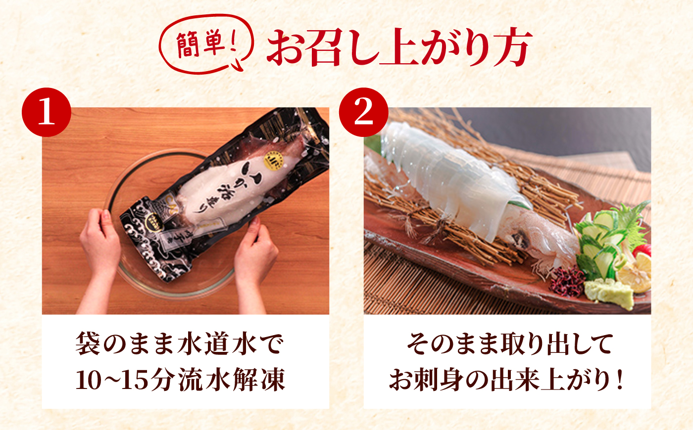 呼子剣先いか 活き造りMサイズ 2パック / イカ 烏賊 新鮮 生 刺身 / 佐賀県 / 佐賀玄海漁業協同組合（呼子CASセンター） [41ABAN001]