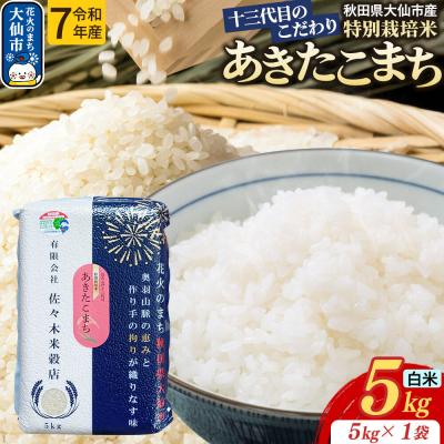 ふるさと納税 大仙市 米 あきたこまち【白米】5kg 特別栽培米 令和7年産|22_skb-010501