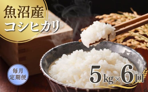 【先行予約】【6か月定期便(毎月全6回)】 令和7年産新米 魚沼産コシヒカリ 5kg×全6回 雪室貯蔵 吉兆楽 【0038-0007DB00-01】