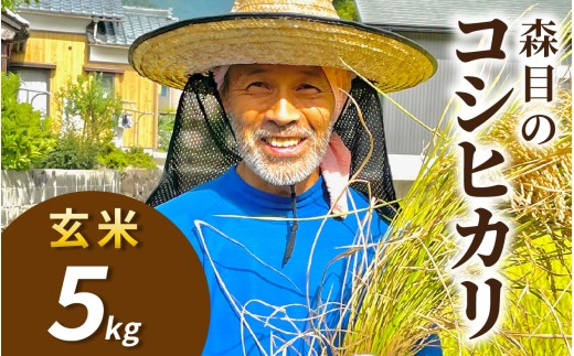 【令和8年産 新米 先行予約】【玄米】福井県大野市　森目のコシヒカリ5kg |  お米 米 こめ 玄米 コシヒカリ お米 精米 白米 こめ コメ お米 2026年産 おこめ ご飯 ごはん 送料無料 国産 白飯 産地直送 R8 おいしい ふるさと納税 R8