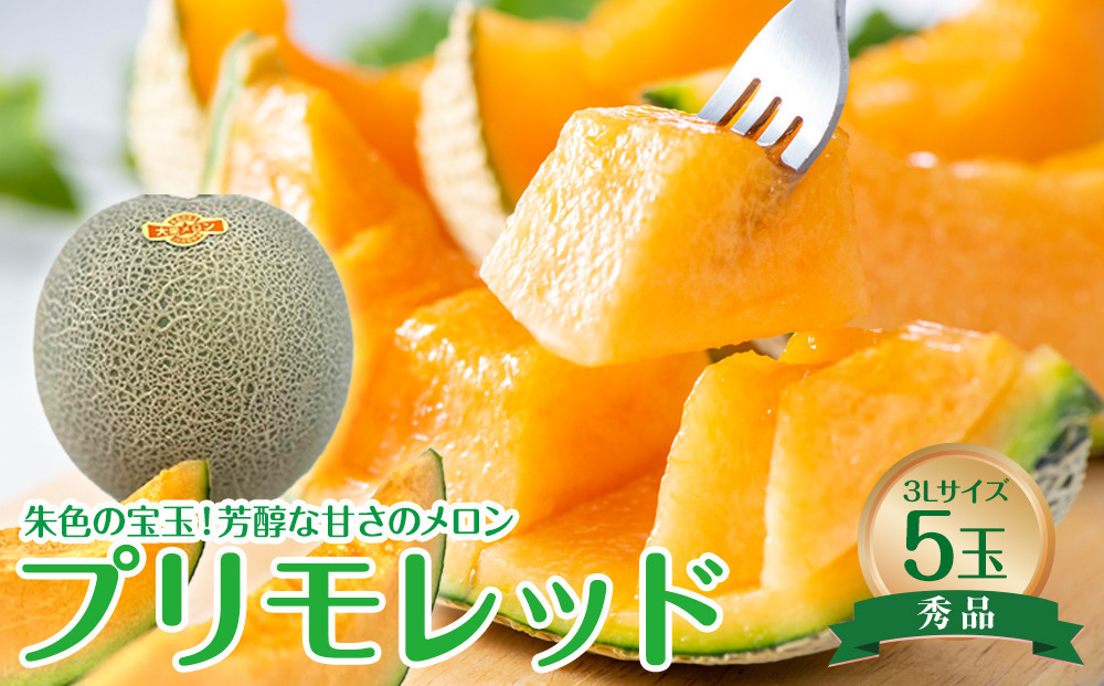 
            739.【先行予約】【JA】プリモレッド（赤肉）赤秀3L×5玉 ※着日指定不可 ※離島への配送不可 ※2025年9月末頃～10月下旬頃に順次発送予定【メロン めろん フルーツ 果物 鳥取県 北栄町 おすすめ 人気】
          