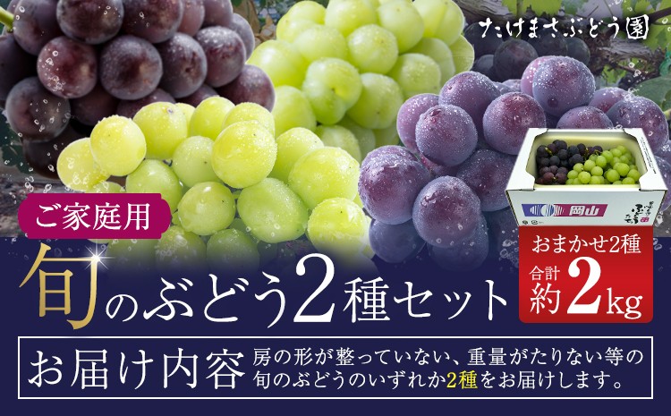 
                  【2026年先行予約】ぶどう ご家庭用 旬 の ぶどう 2種セット おまかせ2種 合計約2kg たけまさぶどう園 《2026年8月中旬-10月中旬頃出荷》岡山県 浅口市 フルーツ デザート おやつ マスカット ぶどう 果物 国産 【配送不可地域あり】（離島）
                