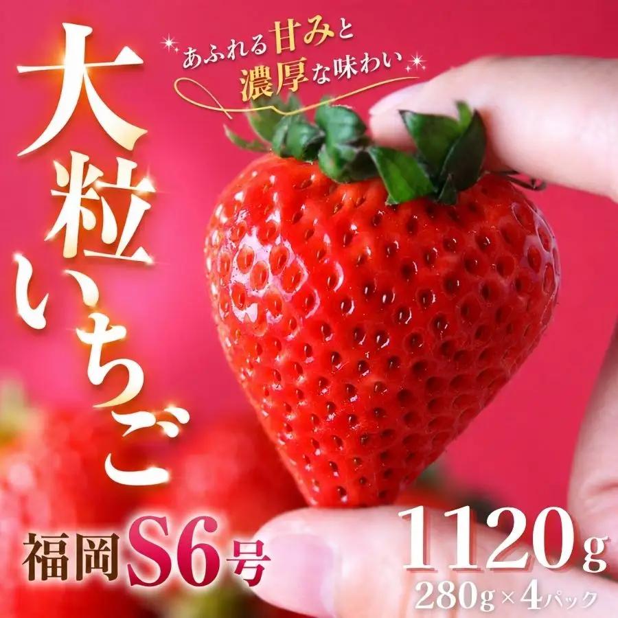 いちご【2027年発送】福岡S6号 4パック×280g 完熟いちご