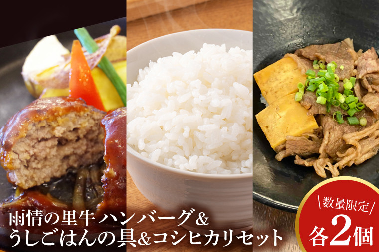 
                  BX004　雨情の里牛ハンバーグ・うしごはんの具・コシヒカリのセット
                