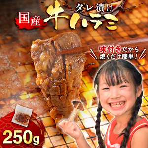 国産 特製たれ漬 牛ハラミ サガリ 250g JX003-1