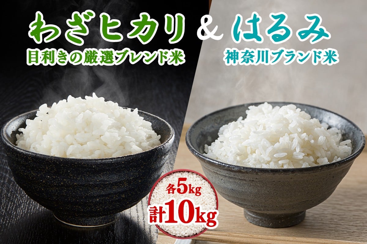 
            令和7年産 目利きの厳選ブレンド米とはるみの食べ比べセット 各5kg (合計10kg) 五つ星お米マイスター親子プロデュース！｜米 お米 ブレンド米 白米 ご飯 精米 厳選 お米マイスター [0888]
          
