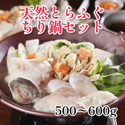 
                  天然とらふぐちり鍋セット　計500～600g【1704152】
                