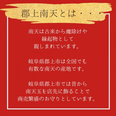 ふるさと納税 郡上市 本物の郡上南天を閉じ込めたピアスC |  | 01