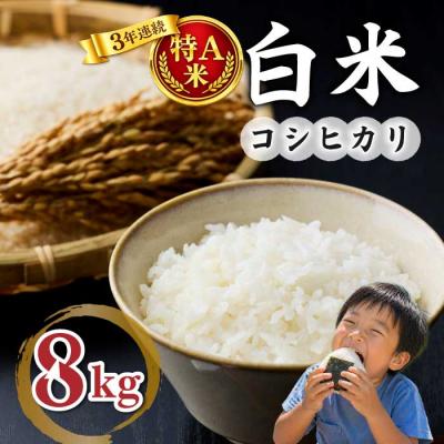 ふるさと納税 東御市 白米8kg(4kg×2袋) 冷めても美味しいコシヒカリ【小田農園】|最短4〜7日程度でお届け