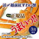 【ふるさと納税】活〆越前 紅ずわいがに × 1杯 旨味満載！！【浜茹で かに カニ 蟹 姿 ボイル 冷蔵 福井県】【3月発送分】希望日指定不可 [e37-x001_03b]