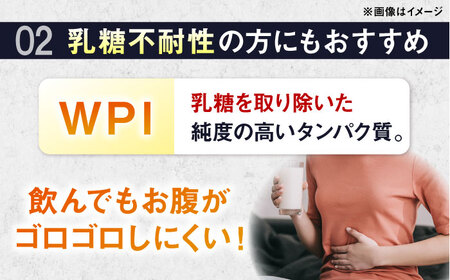 【アルプロン】【全3回定期便】プロテイン PRO WPI ダブルリッチチョコレート 900g WPIプロテイン [AIAL111]