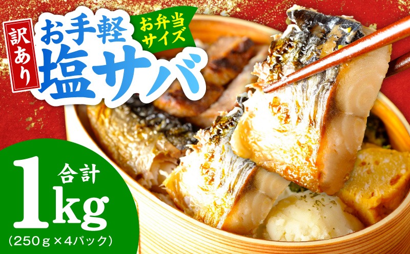 G4538 【お弁当サイズ】塩さば 1kg（250g×4P）【生活応援 サバ 小分け 青魚 塩鯖 塩サバ 切身 塩焼き 焼きさば 焼き鯖 人気 冷凍 冷凍食品 おかず 惣菜 訳あり サイズ不揃い】