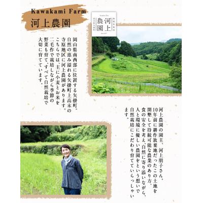 ふるさと納税 矢掛町 無肥料栽培ササニシキ白米 5kg(5kg×1袋)《30日以内に出荷予定(土日祝除く)》 |  | 01