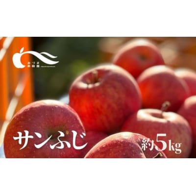 あづま果樹園 りんご「サンふじ」約5kg【2024年度発送】No.2332