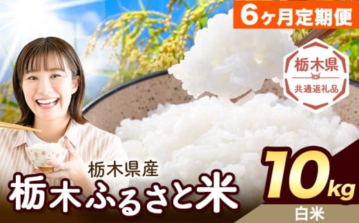 【6ヶ月定期便】米 栃木 ふるさと米 白米 10kg (5kg×2袋)《翌月より出荷開始》栃木県 野木町 米 国産 お米 おこめ お弁当 おにぎり【栃木県共通返礼品】