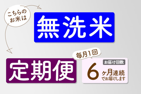 《新米先行受付》《定期便6ヶ月》【無洗米】あきたこまち 5kg 秋田県産 令和6年産  こまちライン