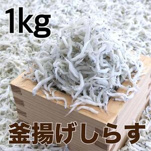 釜揚げしらす1kg(500g×2パック) / シラス 厳選 小分け 冷蔵便【dig207-r-1000】