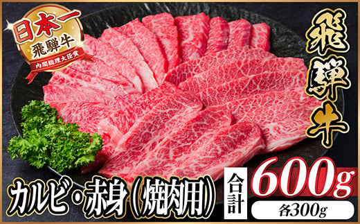 飛騨牛 厳選カルビ・赤身(焼肉・BBQ用)600g　小分け　黒毛和牛　A4～A5等級_牛肉 飛騨牛 国産牛 カルビ 赤身 焼肉 BBQ A4 A5 モモ カタ 冷凍 人気 おすすめ 送料無料 贈答 ギフト ＜配送不可地域：離島＞【1543762】