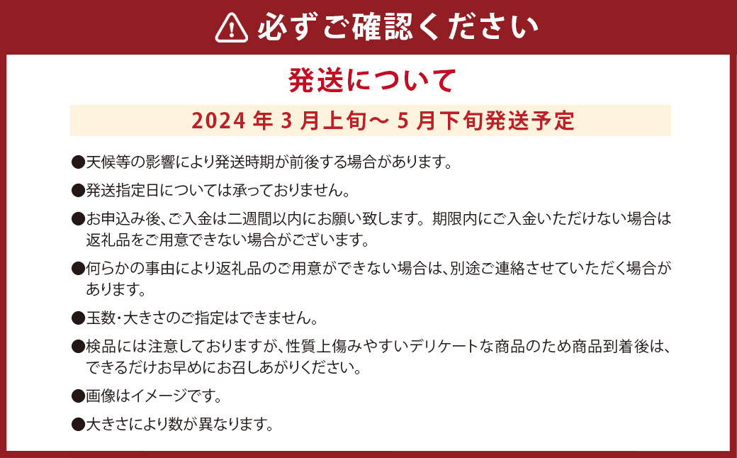 【訳あり】美生柑（みしょうかん）約10kg【2024年3月上旬～5月下旬発送予定】【えひめの町（超）推し！（愛南町）】（455）