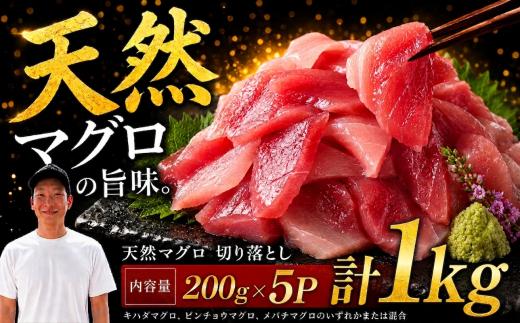 天然マグロ切り落とし 200g×5P│天然マグロ 切り落とし 刺身 マグロ丼 冷凍 高知県 ふるさと納税 キハダマグロ ビンチョウマグロ メバチマグロ 海鮮 お取り寄せ グルメ 時短 簡単調理 解凍するだけ 一口サイズ 手巻き寿司 具材 ユッケ カルパッチョ 漬け丼 おかず おつまみ ギフト 贈答 贅沢 人気 おすすめ 産地直送 新鮮 晩酌 魚介