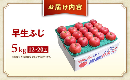 青森県産りんご 早生ふじ 約5kg 9月下旬～ りんご