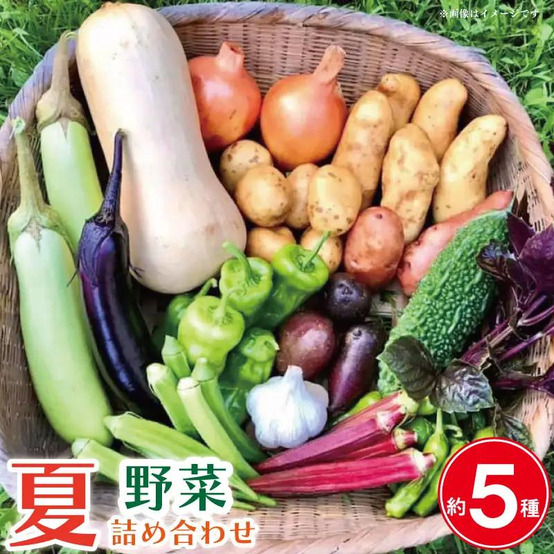 夏野菜 5種 詰め合わせ 野菜