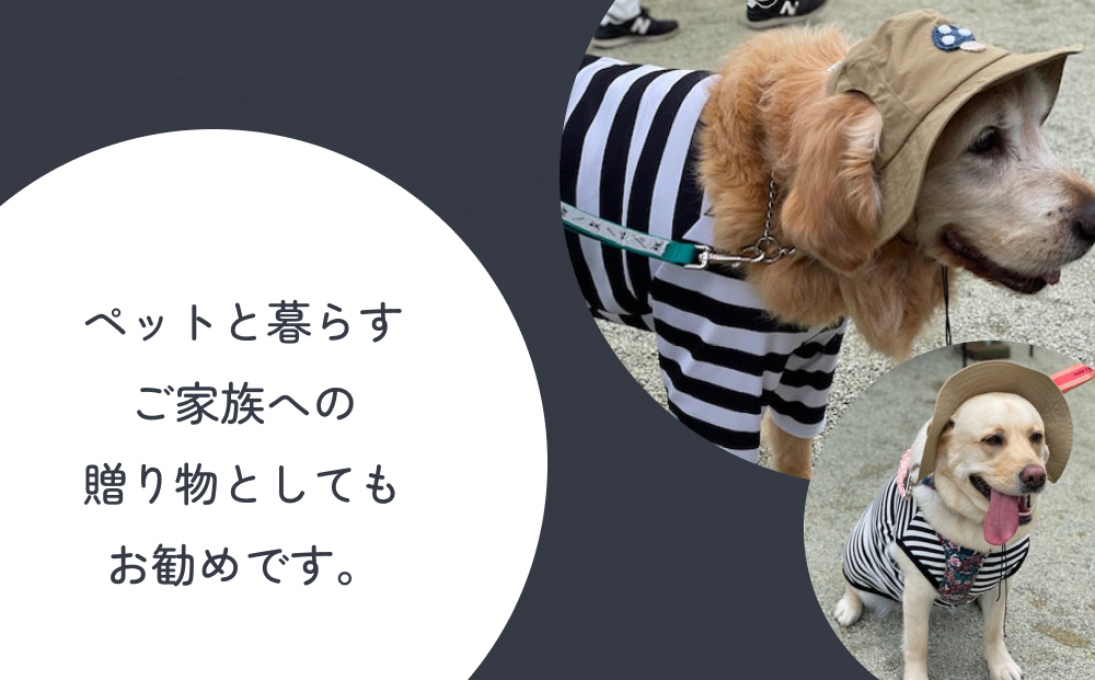 きのこ アウトドアハット　ネイビーM 犬 ペット グッズ 撥水 帽子 キャップ 男の子 女の子 かわいい