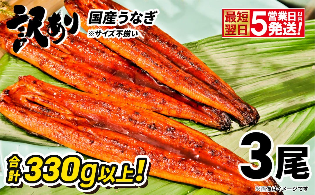 さかい河岸水産の国産うなぎ 3尾(300g以上) 訳あり サイズ不揃い
