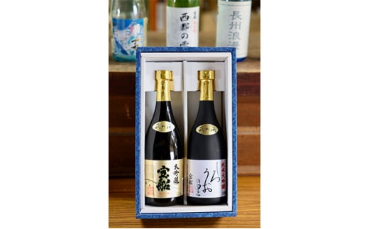 ☆GI萩取得☆ 宝船 『しろうおの里 純米大吟醸』『 大吟醸 』セット　｜HG000122