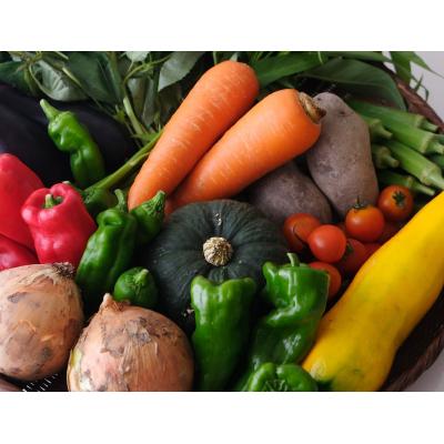 ふるさと納税 京都市 【緑のゆうき】お申込頂いた野菜の売上の1%が社会への応援に　京都産こだわりの野菜のセット |  | 01