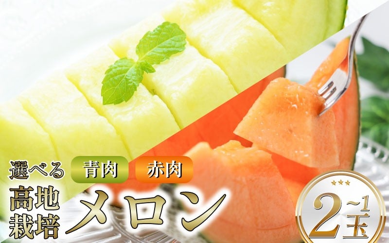 
            メロン 先行予約 1玉 2玉 選べる品種 赤肉 青肉 化粧箱 徳島県産 フルーツ 果物 旬 季節 厳選 高級 人気 デザート ギフト プレゼント 贈り物 贈答 送料無料 レノンウェーブ タカミ ナポリ 赤肉メロン 青肉メロン 徳島県 三好市 みよし 三好野呂内野菜生産加工組合
          