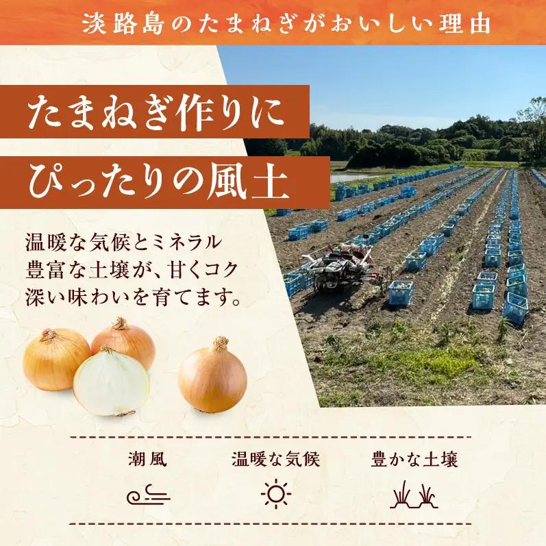 玉ねぎ 淡路島産 5kg スープ 肉じゃが 玉ねぎ