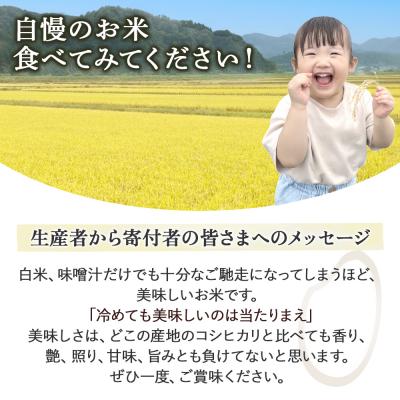 ふるさと納税 倉吉市 コシヒカリ 10kg(標準)令和7年産 新米 お米 こしひかり コシヒカリ ご飯 |  | 03