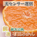 【ふるさと納税】＜1月より発送＞厳選 越冬完熟みかん2kg+60g（傷み補償分）ハウスみかん | フルーツ 果物 くだもの 食品 人気 おすすめ 送料無料 光センサー選果