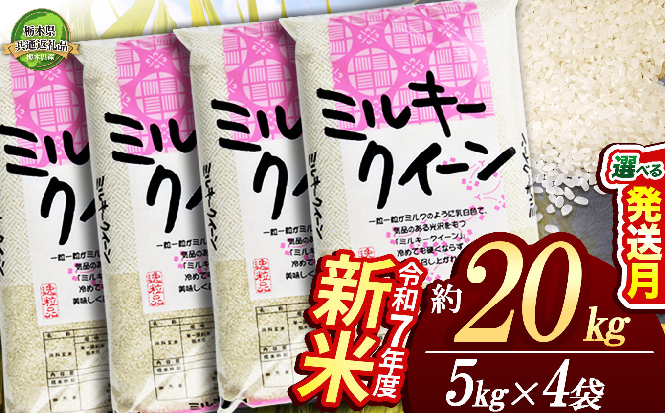 
            【栃木県共通返礼品】【先行予約】ミルキークイーン 20kg（5kg×4袋）| 定期便あり 米 こめ コメ kome 白米 精米 お米 みるきー みるきーくいーん ﾐﾙｷｰｸｲｰﾝ Milky queen ミルキークウィーン もちもち モチモチ ふっくら 新米 栃木米 令和7年度米 令和7年度 2025年度米 2025年度 ブランド米 栃木県 特産品 送料無料 栃木県 下野市 しもつけ市
          