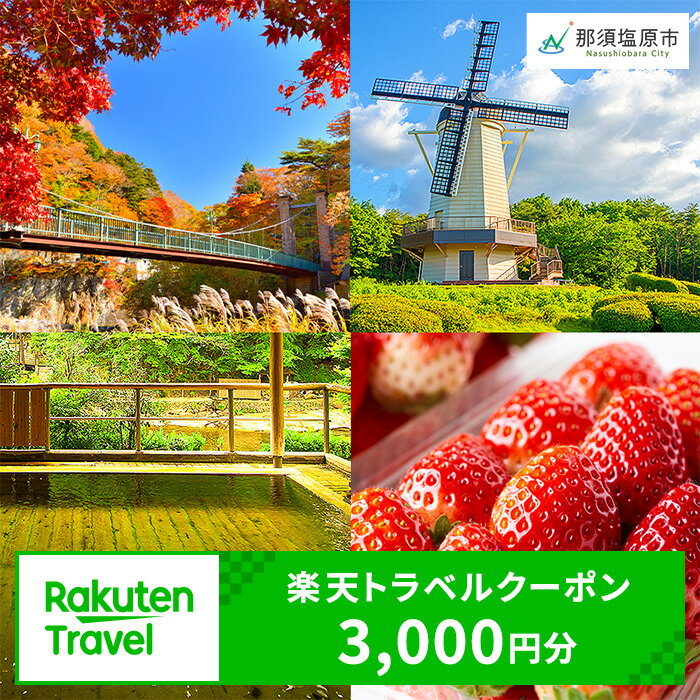 【ふるさと納税】楽天限定 栃木県那須塩原市の対象施設で使える 楽天トラベルクーポン 寄附額10,000円 旅行 宿泊 旅行券 宿泊券 ホテル 旅館 3,000円分 温泉 観光 グルメ レジャー リゾート チーズ 和牛 牛乳 フルーツ アクティビティ クーポン