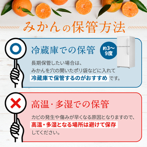 【 先行予約 】 訳あり 熊本県産 温州 みかん 約 10kg